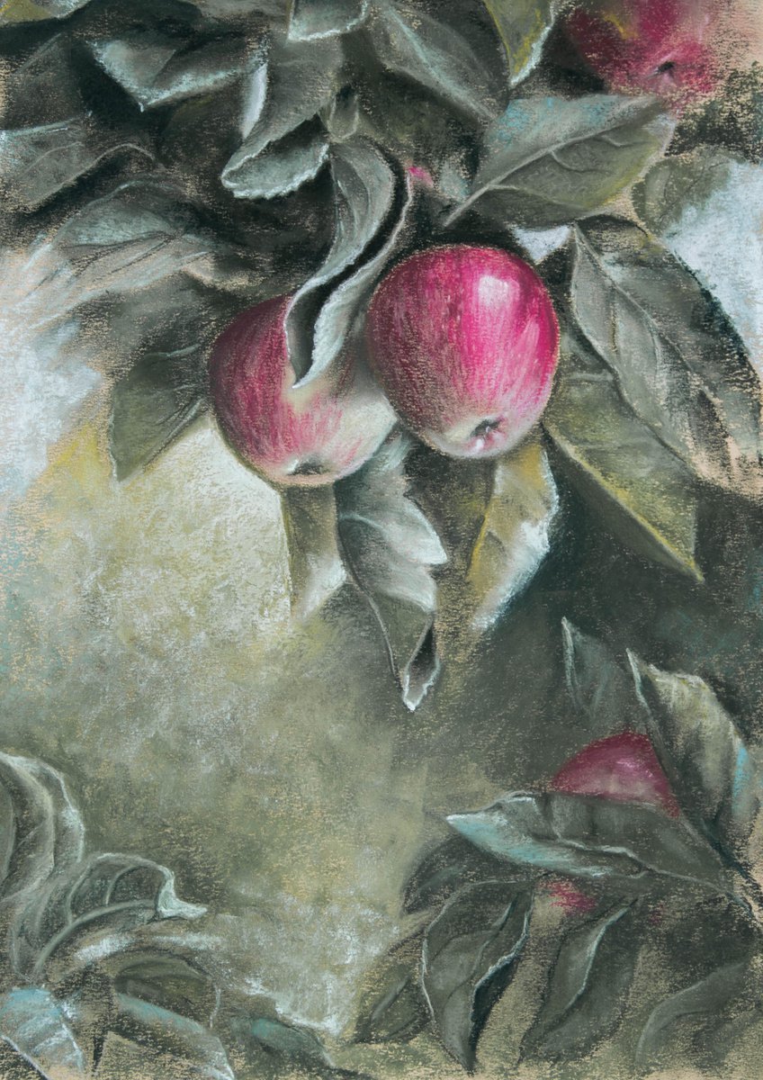 Photorealistic Botanical Pastel Drawing By Inna Medvedeva, 12 X 17, Apples On The Branch, Original Artwork