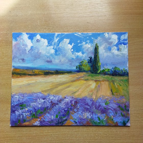 French Lavender Fields 20*25 cm