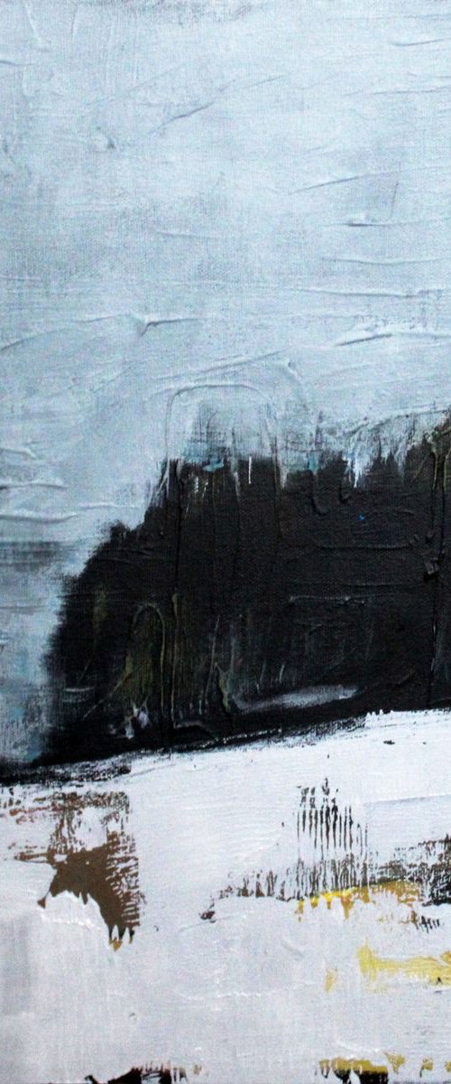 Abstract landscape - Winter wonderland by Nick Molloy