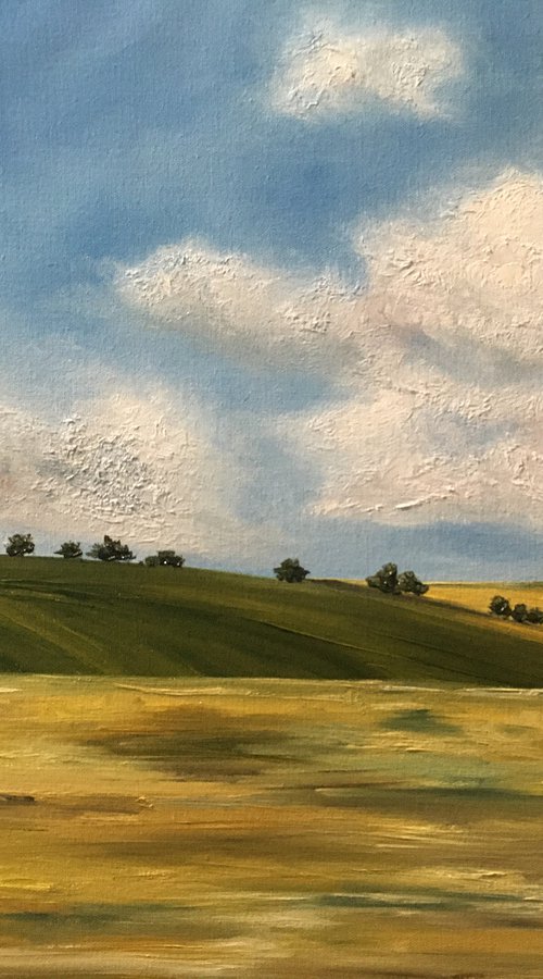 Countryside II by Timea  Valsami