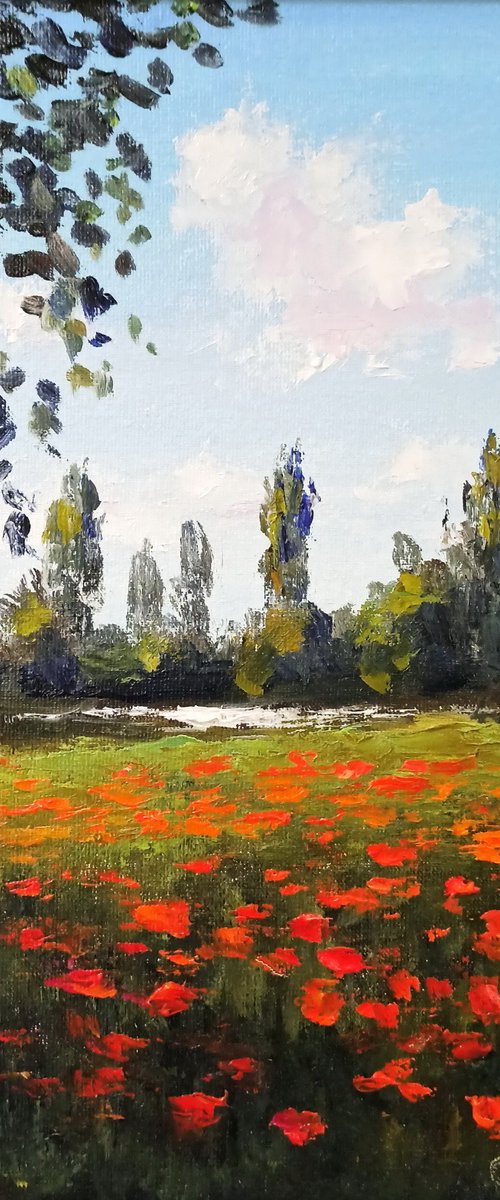 Poppies by the river by Oleh Rak