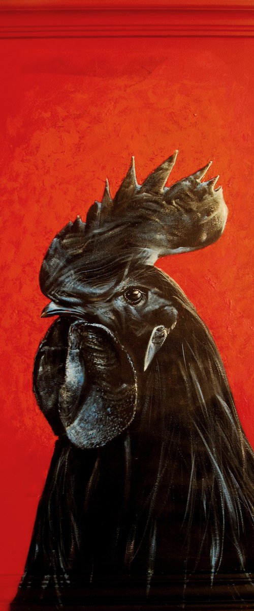 Portrait of a black Ayam Tseman. by Serhiy Roy