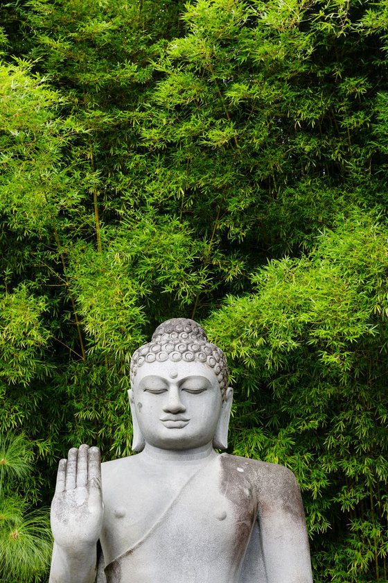 Buddha and Bamboo