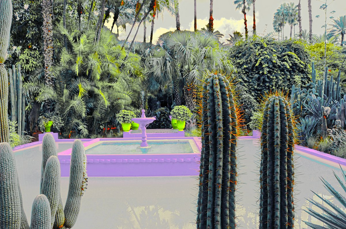 Surrealistic Botanical Photograph By Tabita Pietsch, 20 X 14", E.d.e.n 02, Original Artwork