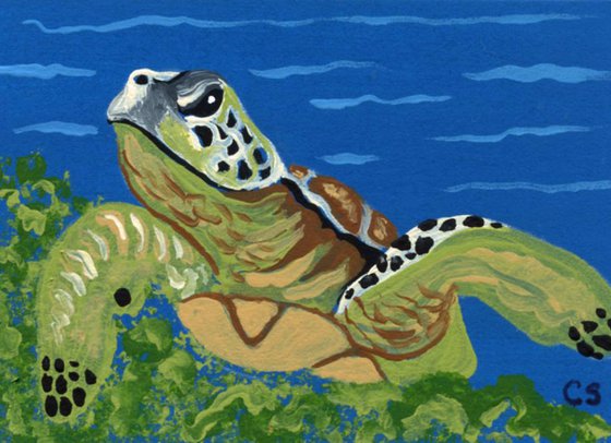 ACEO ATC Original Miniature Painting Sea Turtle Marine Wildlife Art-Carla Smale