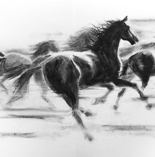 SPEED - RUNNING HORSES by Nicolas GOIA