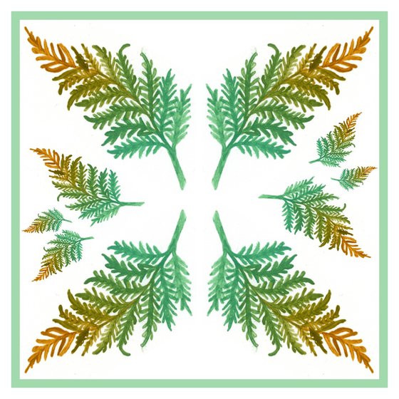 Fern Study 2