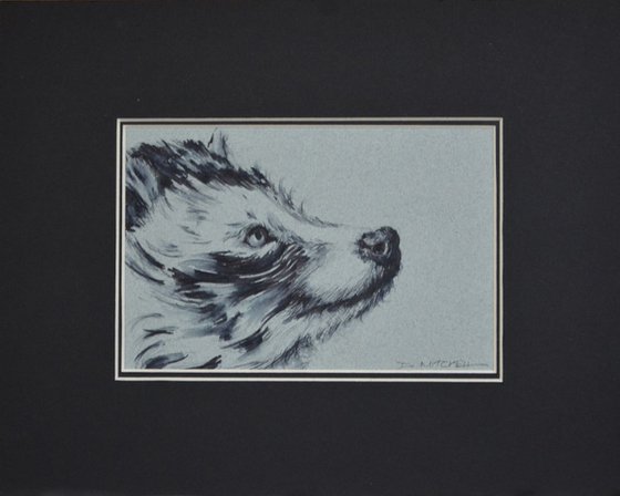 Racoon Dog Ink Sketch