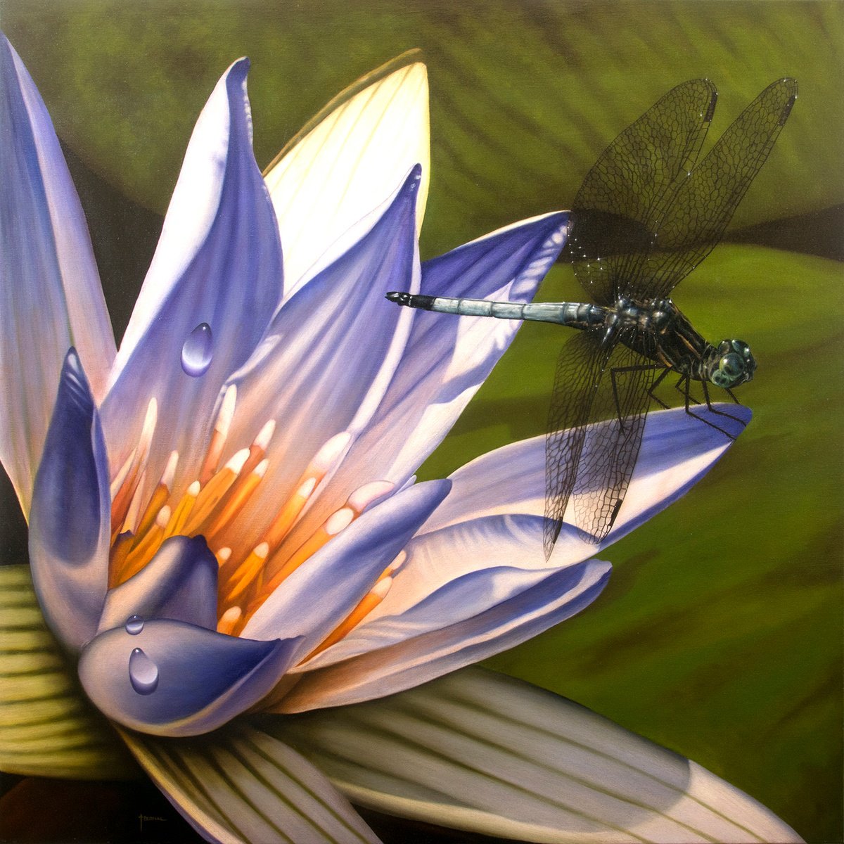 Photorealistic Botanical Oil Painting By Juan Bernal, 48 X 48", "Blue Waterlily With Dragonfly", Original Artwork