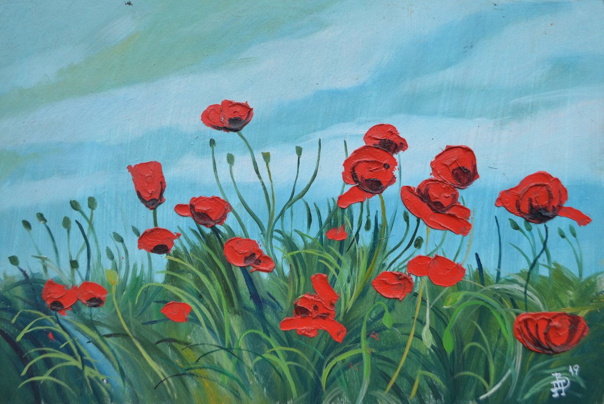 Poppies field by Vitalii Panasiuk
