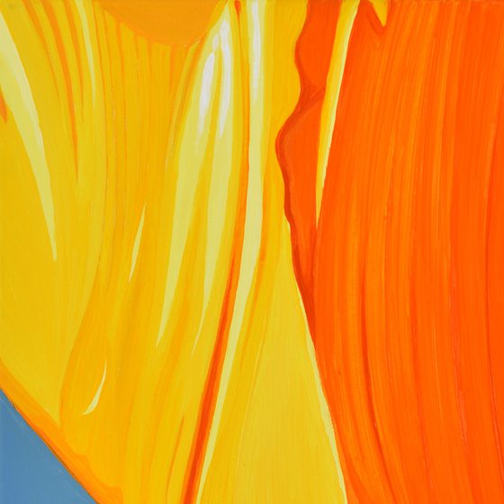 Californian Poppy and Pacific Wind #7