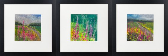 Three Rosebay Willowherb framed
