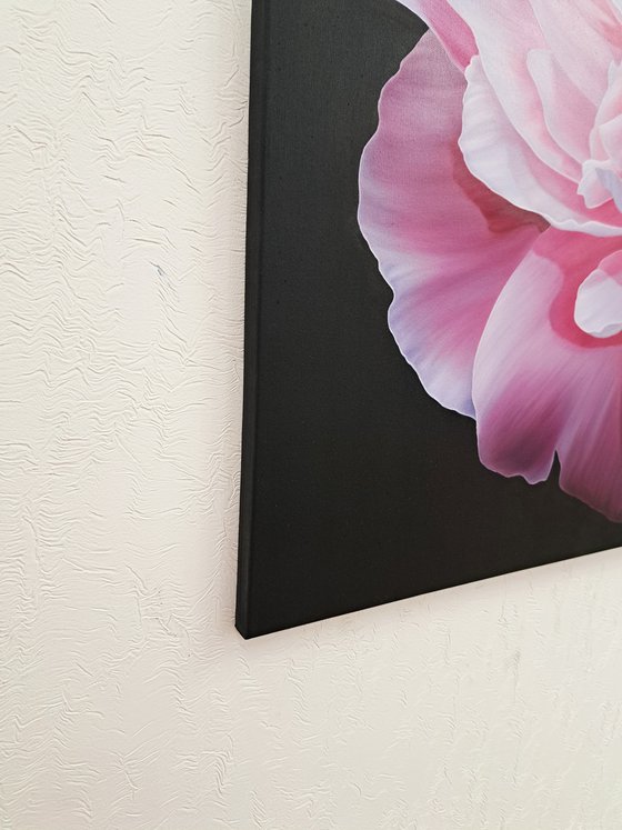 Pink peony vibes