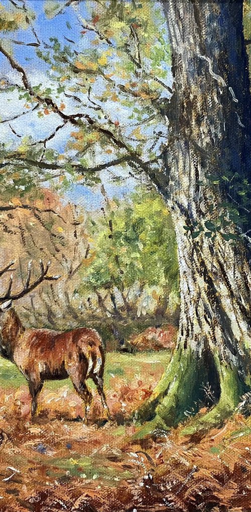 Red Stag and Twisted Oak by Peter Frost