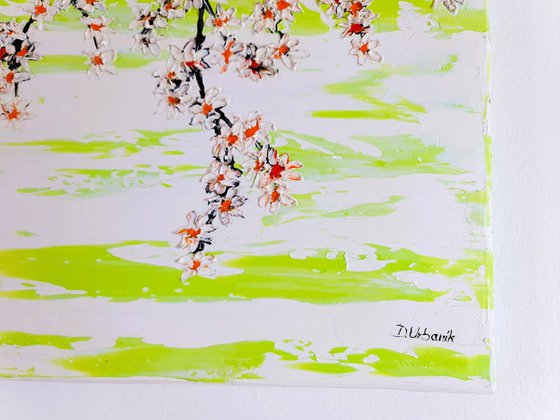 Cherries in the spring 2