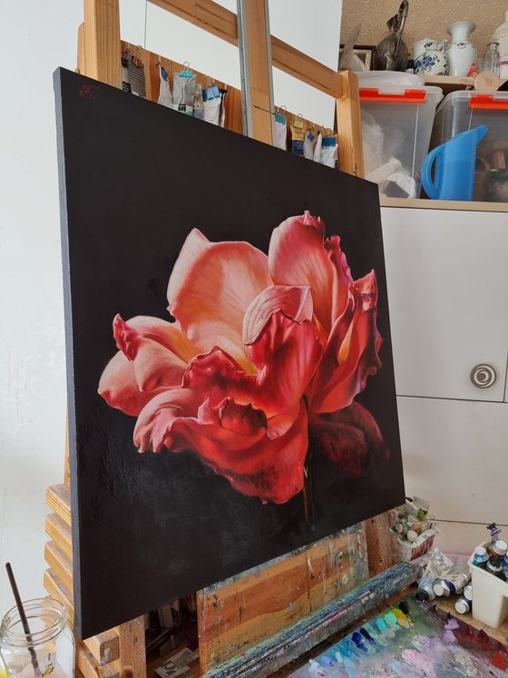 "To the light.  "  rose red flower  liGHt original painting  GIFT (2022)