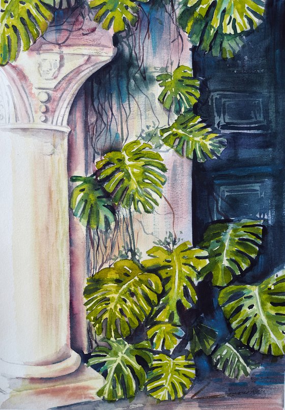 Portuguese courtyard with a monstera plant