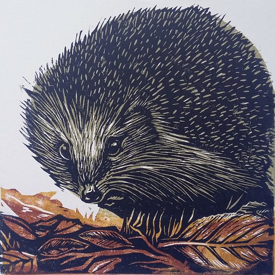 Hedgehog