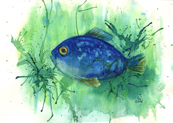 Blue fish