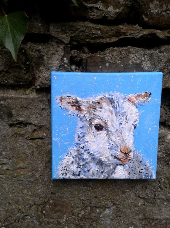 "Spring lamb"