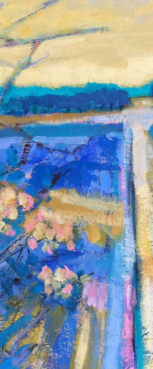 Mellow Light by Chrissie Havers