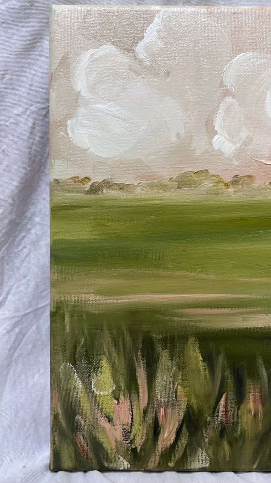 Creamy clouds horizon and soft fields