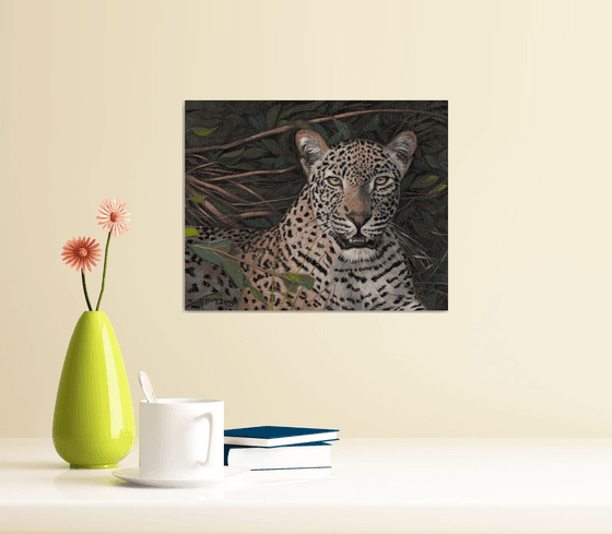 Leopard portrait