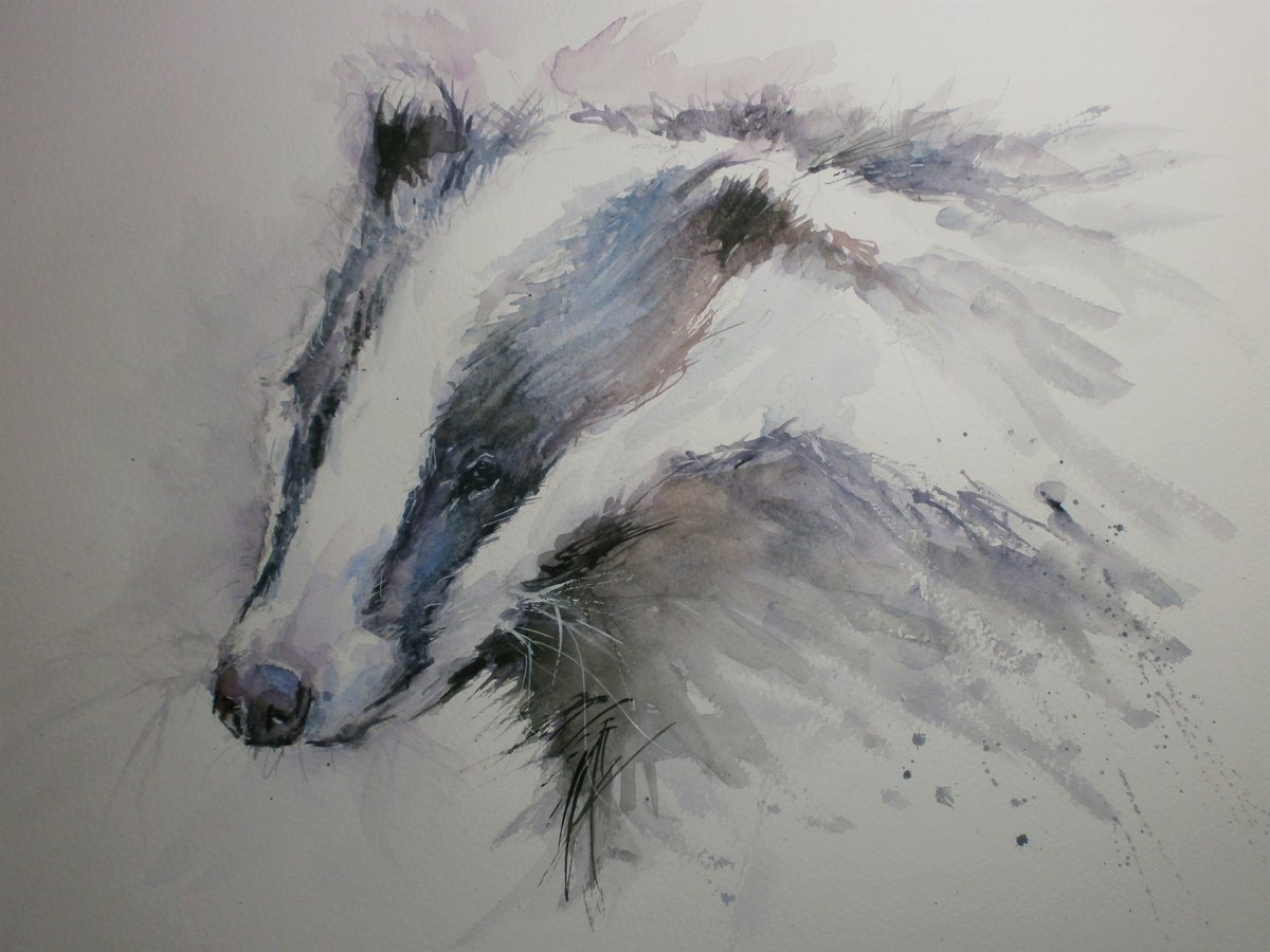 Badger by Sue Green