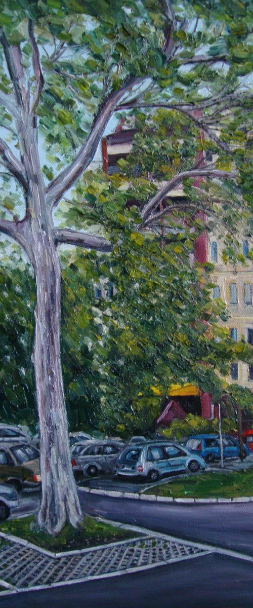 Ordinary day by Olga Knezevic