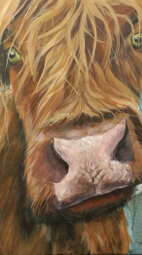 Highland dream by Thuline De Cock
