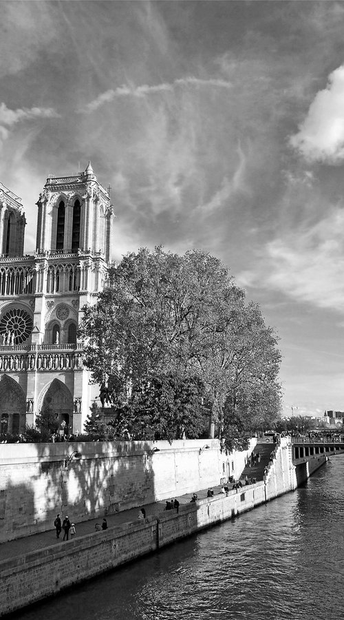 Notre-Dame de Paris by Alex Cassels