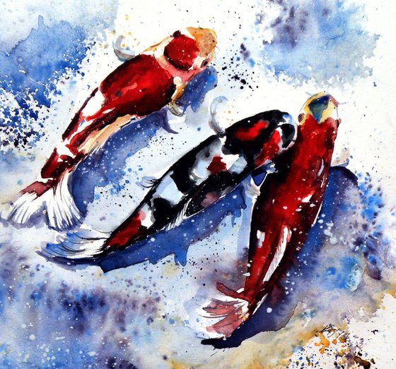 Koi fish