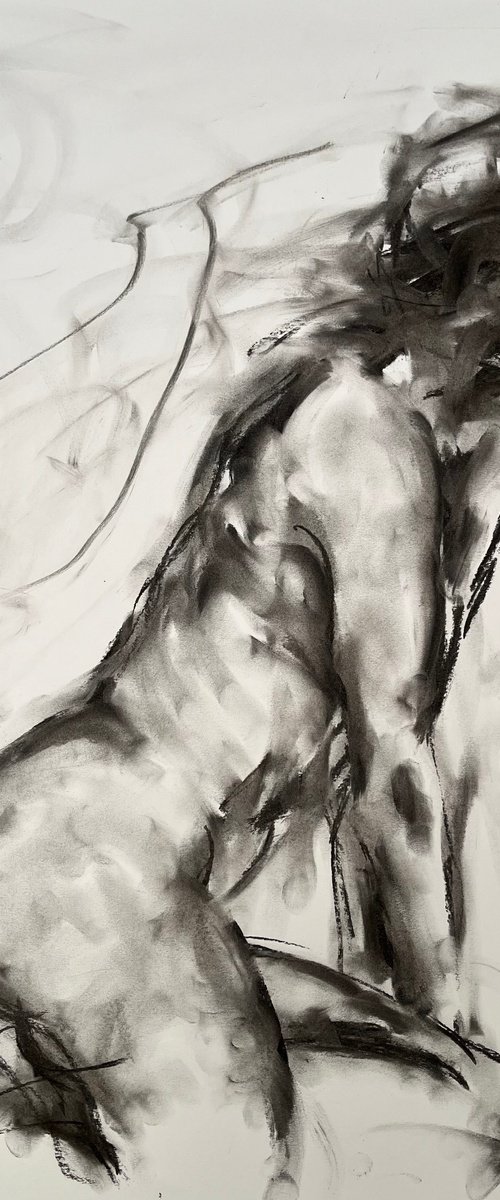 Seasons by James Shipton