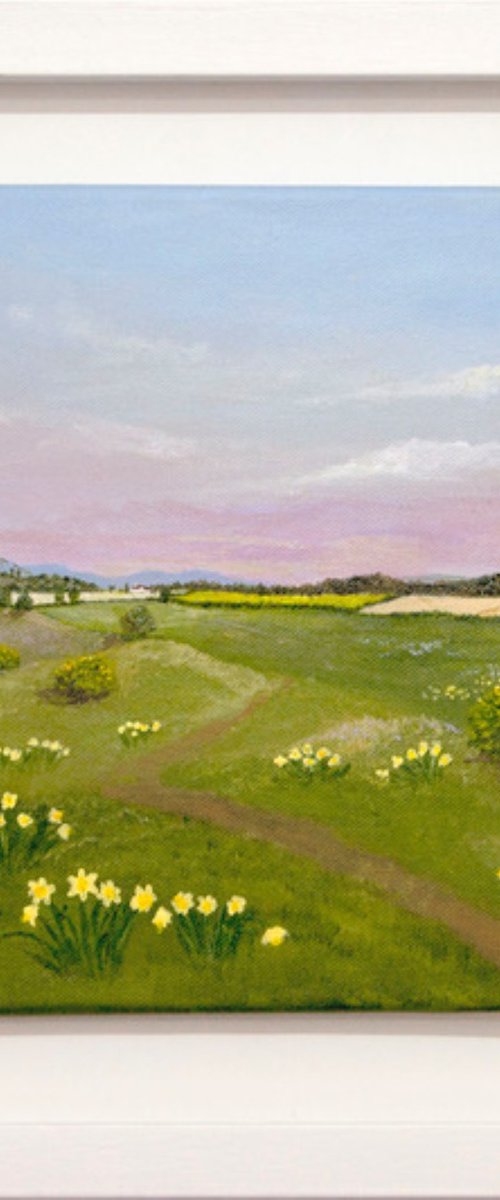Irish Daffs by Andrew Cottrell