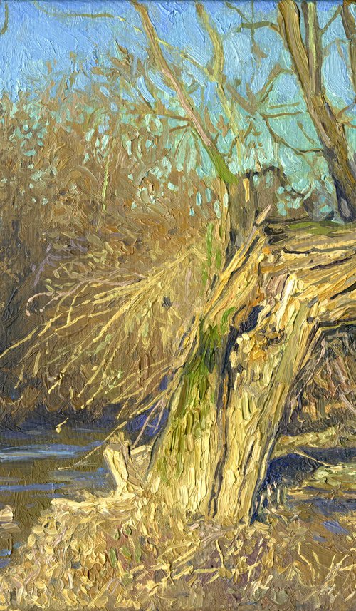 A broken tree near the Likhoborka River by Simon Kozhin