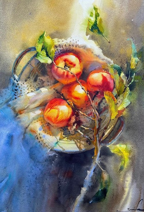 Apple painting watercolor. The Basket of Apples by Samira Yanushkova