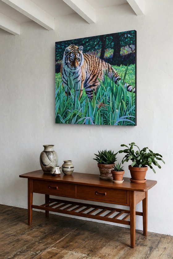 Amur Tiger - First Encounter