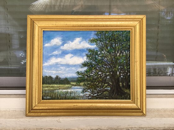 MARSH OAKS - oil 8X10 (SOLD)