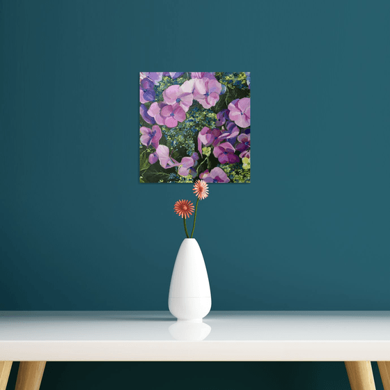 Hydrangea