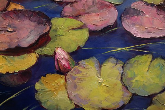 "Waterlilies in the Mirror of the Sky"