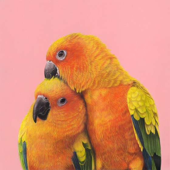 Original pastel drawing bird "Sun parakeets"