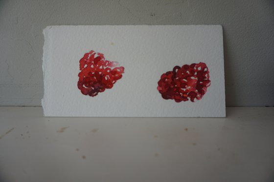 Two raspberries