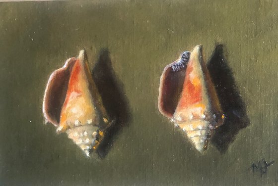 Two Shells