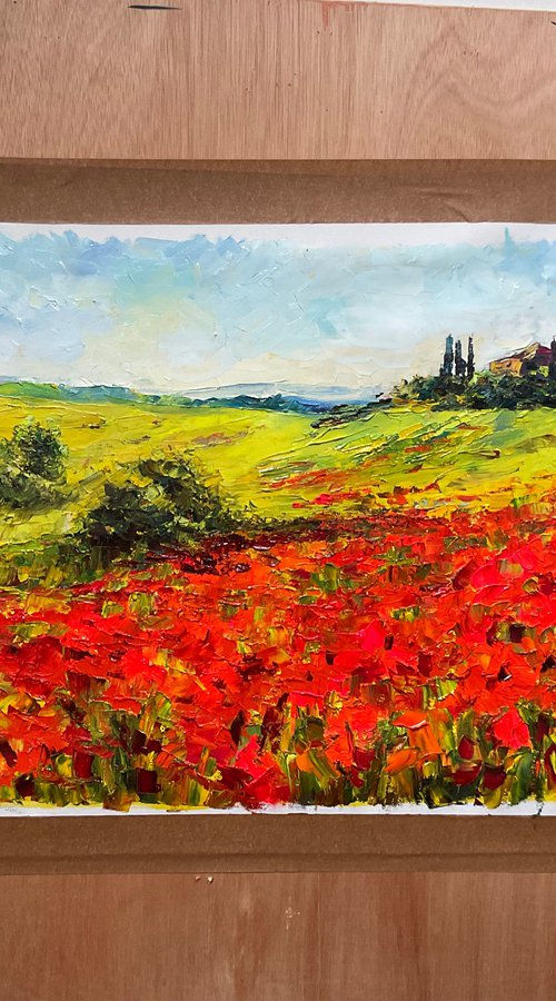 Vivid poppies. Tuscany by Mariia Hyhar
