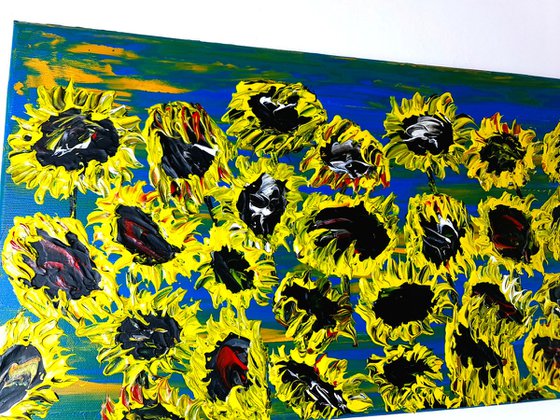 Blooming sunflowers 3