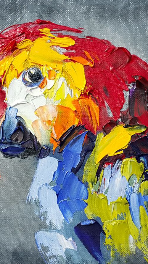 Сolored parrot -  bird, parrot, painting on canvas, gift, parrots art, art bird, animals oil painting,  palette knife by Anastasia Kozorez
