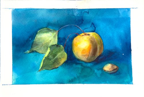 Apricot on blue by Nataliia Nosyk