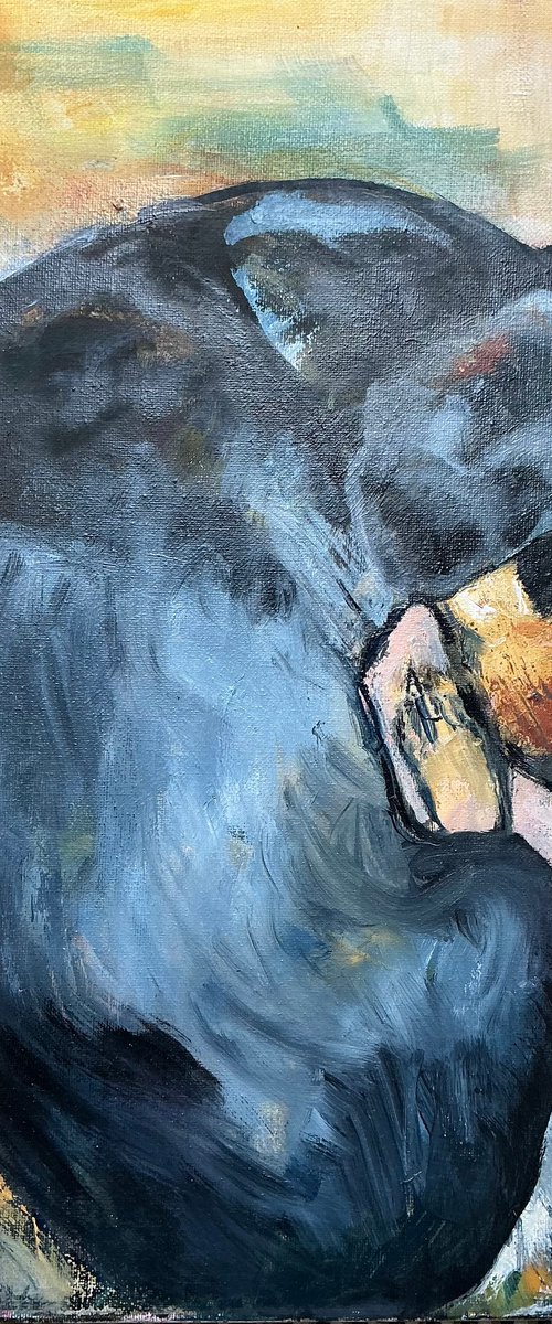 Sleeping Dachshund by Sandra Haney