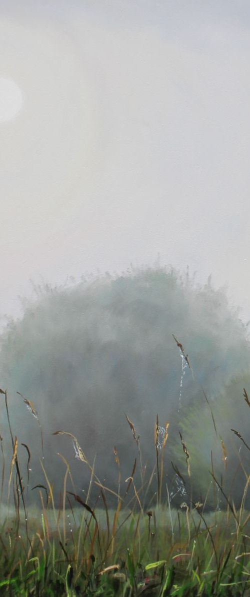 Catching Light by Kerry Lisa Davies