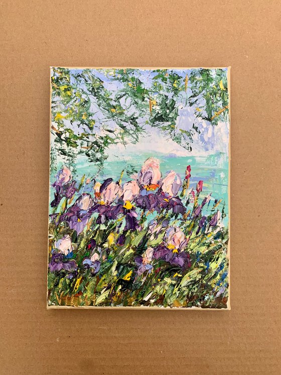 Irises
